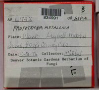 Image Associated With the Occurence